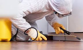 Best Residential Pest Control  in Tuckahoe, NY